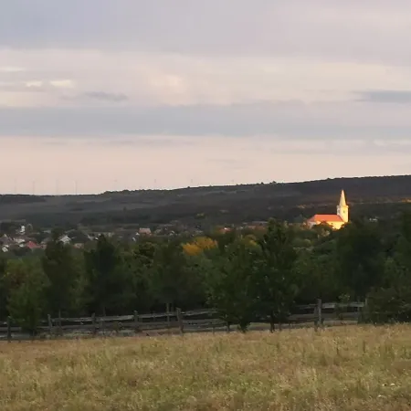 Dom wakacyjny Moni Kishaza Fertőrákos
